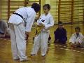 2015-11-30 Taekwondo Zielony Pas